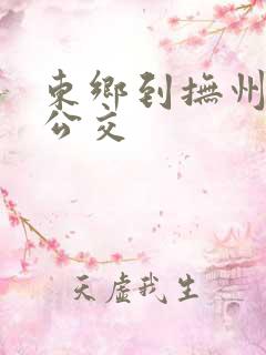 东乡到抚州城际公交