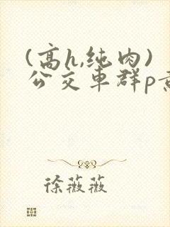 (高h,纯肉)公交车群p黄文
