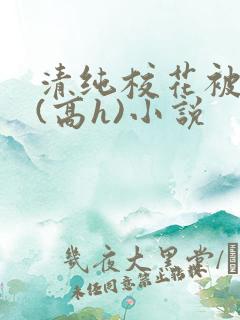 清纯校花被调教(高h)小说