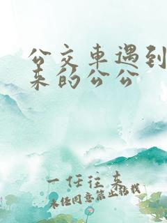 公交车遇到农村来的公公