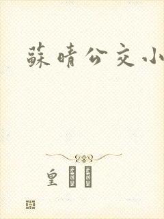 苏晴公交小说