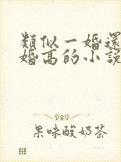 类似一婚还比一婚高的小说