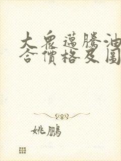 大众迈腾油电混合价格及图片
