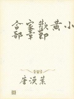 合家欢黄小梅全部章节