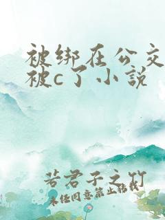 被绑在公交车里被c了小说