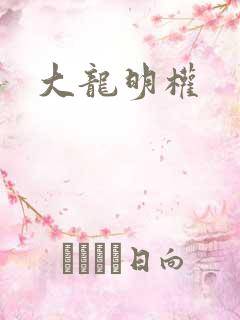 大龙明权