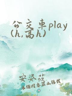 公交车play(h,高h)