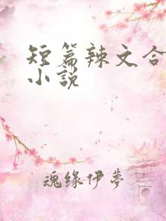 短篇辣文合集 小说