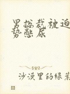 男总裁被迫夹玉势憋尿