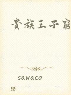 贵族王子穷公主