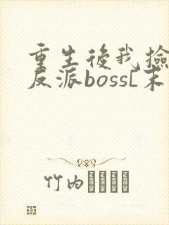 重生后我捡到了反派boss[末世]