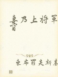 妻乃上将军无弹窗