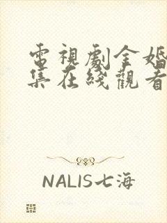 电视剧金婚50集在线观看