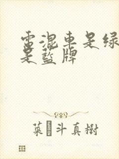电混车是绿牌还是蓝牌