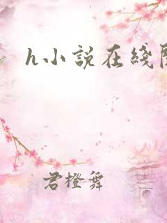 h小说在线阅读