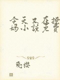 今天又在撩拨后妈小说免费阅读全文