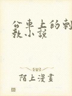 公车上的刺激调教小说