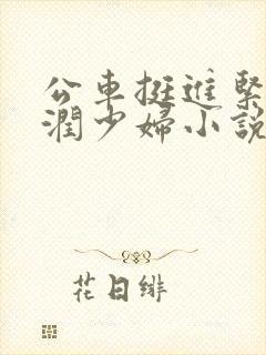 公车挺进紧窄湿润少妇小说