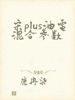 宋plus油电混合参数