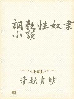 调教性奴隶母狗小说