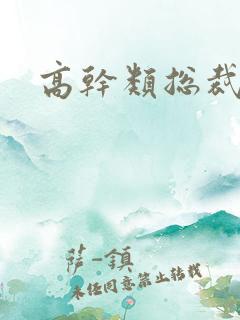 高干类总裁文