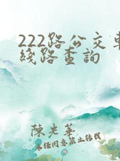 222路公交车线路查询