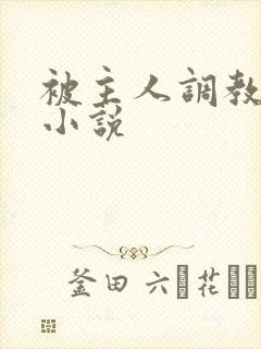 被主人调教憋尿小说