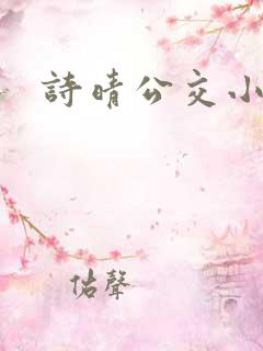 诗晴公交小说