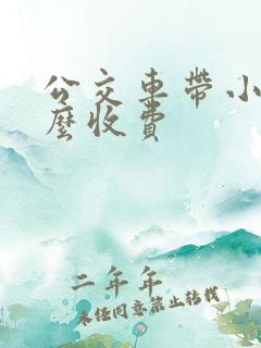 公交车带小孩怎么收费