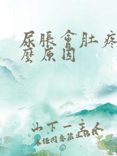 尿胀会肚疼是什么原因