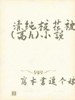 清纯校花被调教(高h)小说