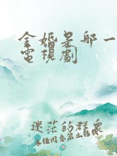 金婚是哪一年的电视剧