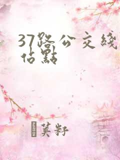 37路公交线路站点