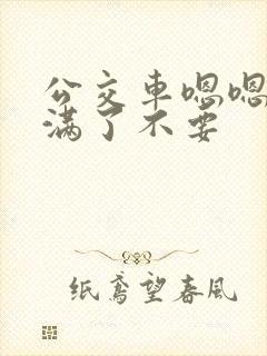 公交车嗯嗯啊啊满了不要