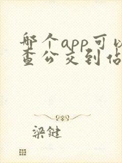 哪个app可以查公交到站时间