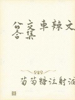 公交车辣文小说合集