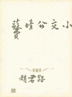 苏晴公交小说免费