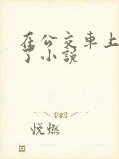 在公交车上高潮了小说