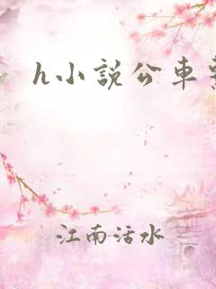 h小说公车系列