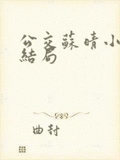 公交苏晴小说大结局