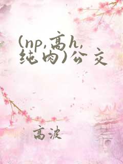 (np,高h,纯肉)公交