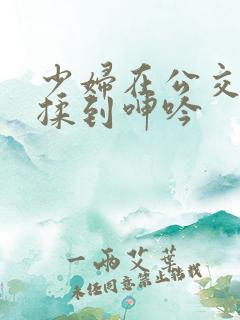 少妇在公交车被揉到呻吟