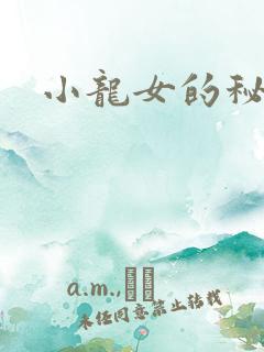 小龙女的秘密