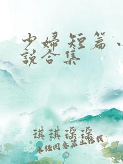 少妇 短篇 小说合集