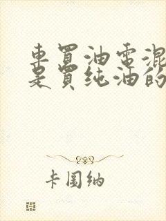 车买油电混动还是买纯油的好
