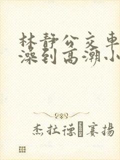 林静公交车伦流澡到高潮小说