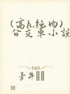 (高h,纯肉)公交车小说