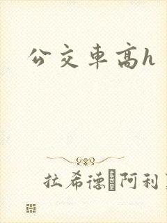 公交车高h