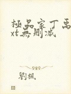 极品家丁禹岩txt无删减