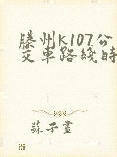 滕州k107公交车路线时间表